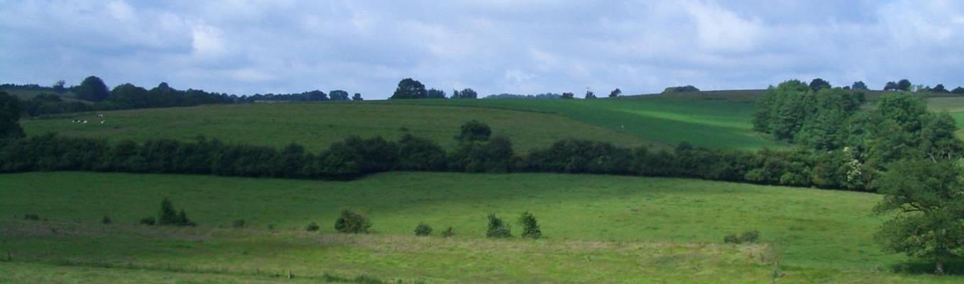 Bocage Thiérache Ariane Dupéron 2