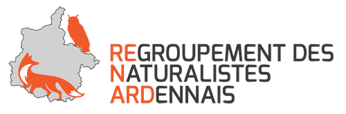 Logo association renard
