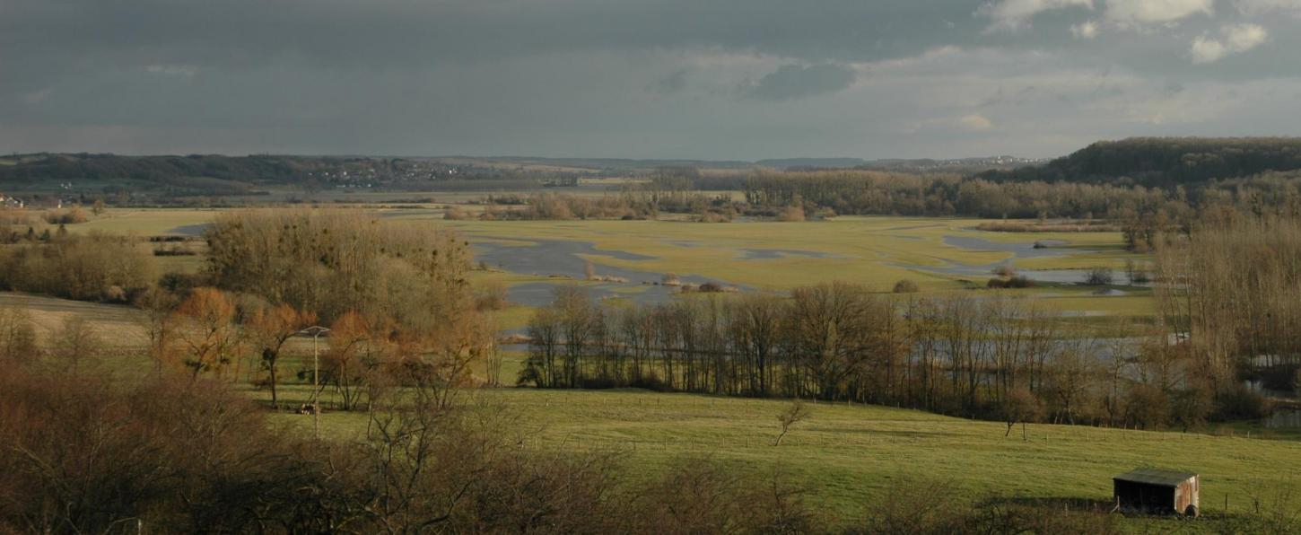 Vallée de lAisne à Voncq Luc Gizart