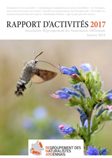 Rapport Activités 2017