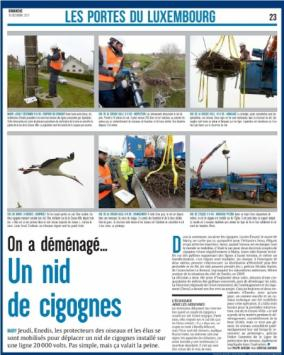 cigogne Mairy