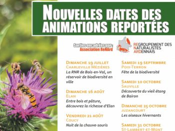 Affiche report