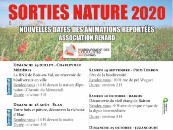 report dates Copie