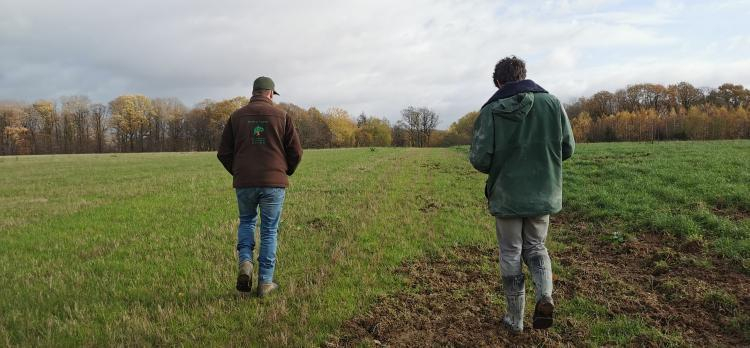Visite avant plantation CM