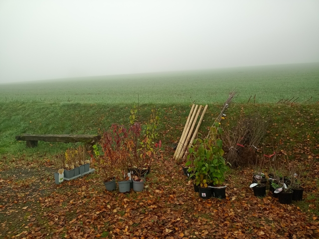 Matériel et plants pour chantier plantation de haies