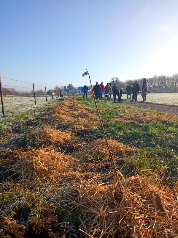 Bénévoles sur un chantier plantation de haies