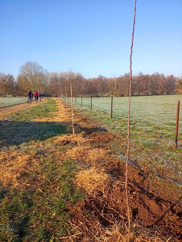 Chantier plantation de haies