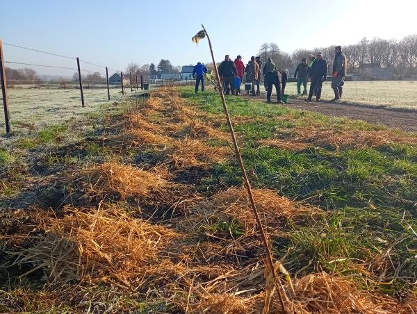 Bénévoles sur un chantier de plantation de haies