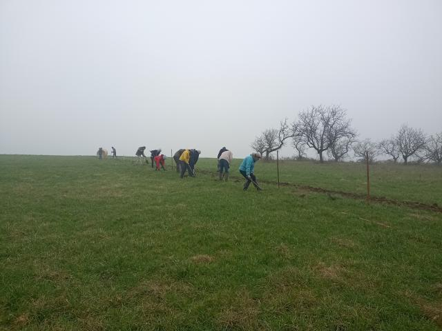 Chantier de plantation de haies : bénévoles en action