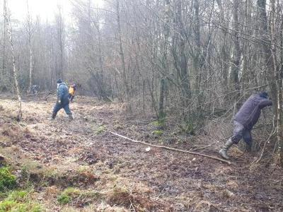 Photo de paysage de tourbière entourée d'arbre : chantier d'entretien