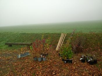 Matériel et plants pour chantier bénévole plantation de haies