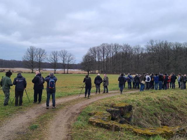 Groupe de personnes qui observe un étang pendant une sortie nature