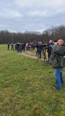 Groupe de naturalistes au bord d'un chemin qui observent aux jumelles ou à la longue-vue