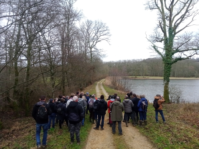 Groupe de personnes sur un chemin forestier au bord d'un étang