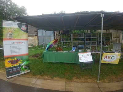 Stand du ReNArd : panneaux présentant l'association et le programme ABC, table avec une nappe verte, éléments posé dessus (peluche de renard, livres, parapluie…), expo photo derrière