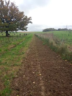 Terrain de plantation de haie "avant"