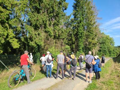 Groupe de personne sur un chemin de campagne bordé d'arbres pour une sortie nature en plein été