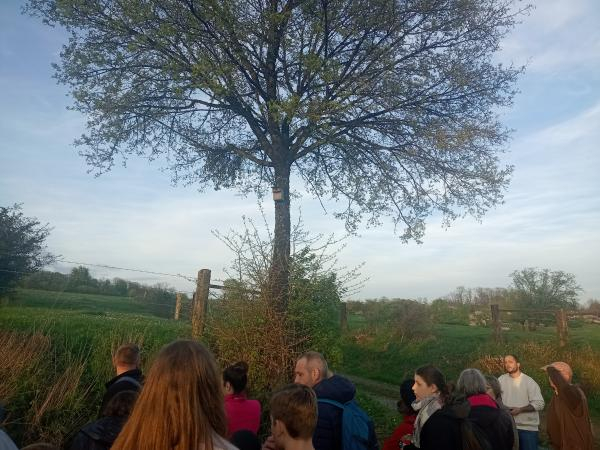 Groupe de personnes devant un arbre avec un nichoir à la campagne au crépuscule