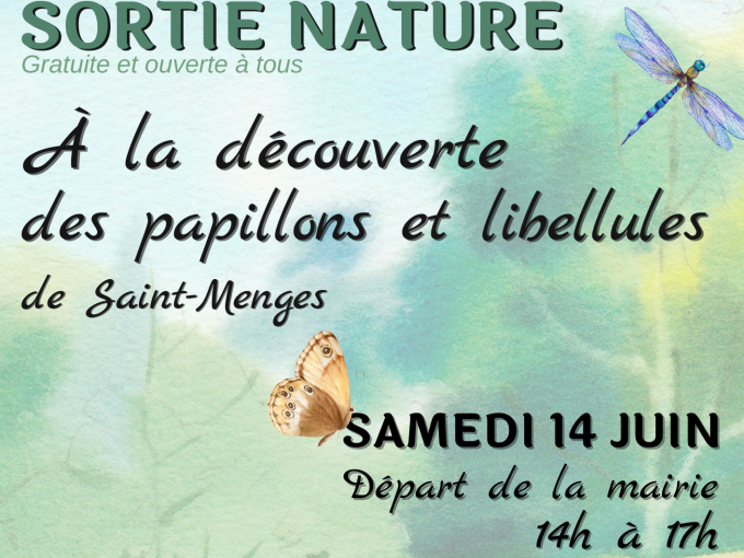Affiche de la sortie