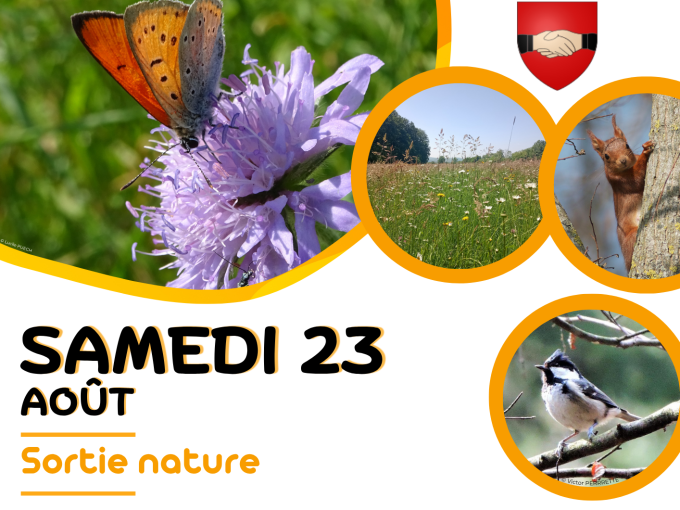 Affiche pour une sortie nature le 23 août avec photos d'illustration faune/flore