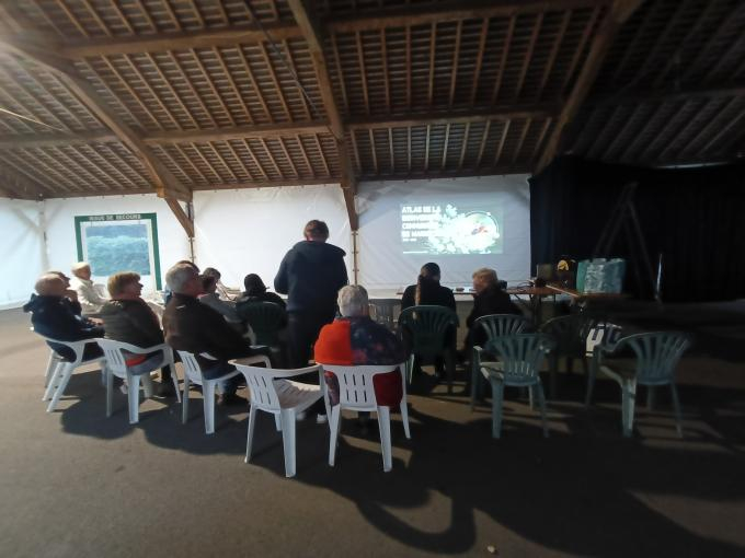 groupe de personnes assises pour une projection