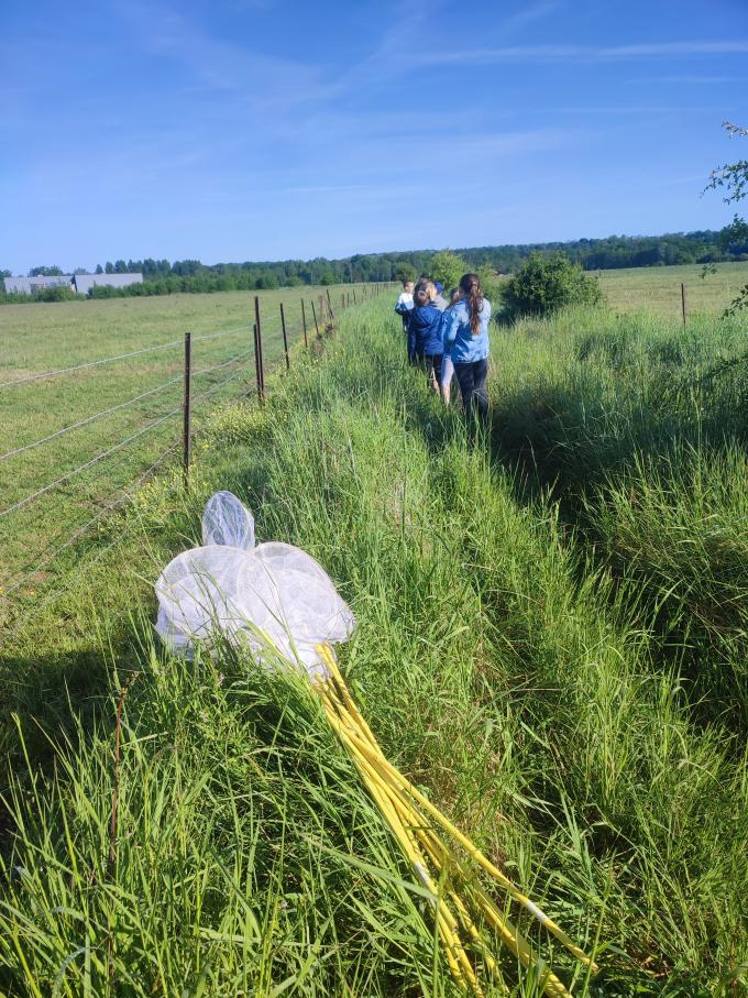 Sortie nature avec des écoliers