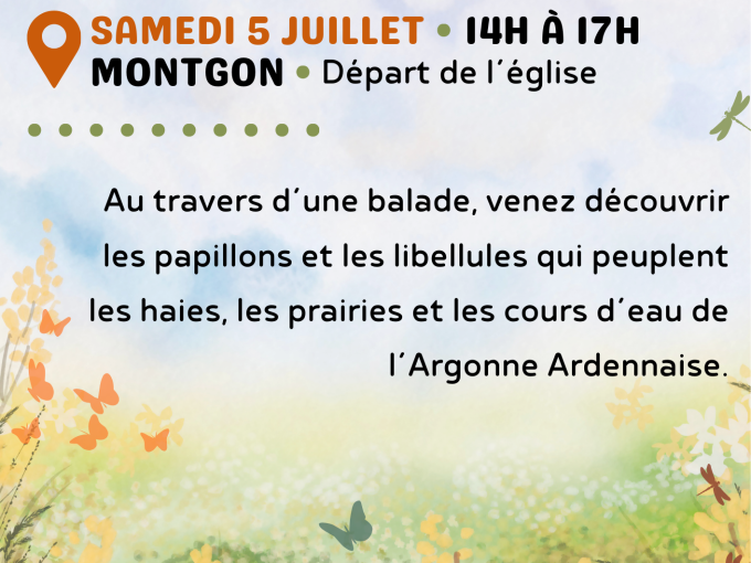 Affiche de la sortie