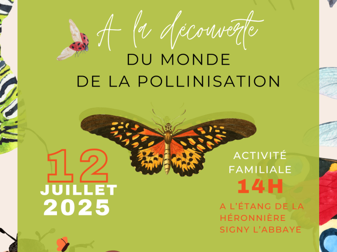Affiche de l'animation avec un dessin de papillon