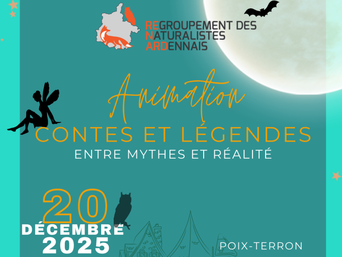 Affiche de la sortie avec les infos du post et dessins d'illustration : silhouettes de fée, hibou et chauve-souris