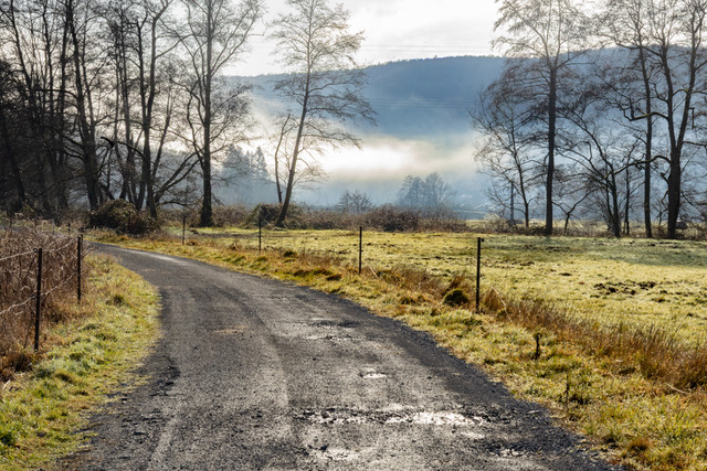 Chemin avec vue sur un paysage vallonné et des arbres en hiver ©M. Dimidschstein