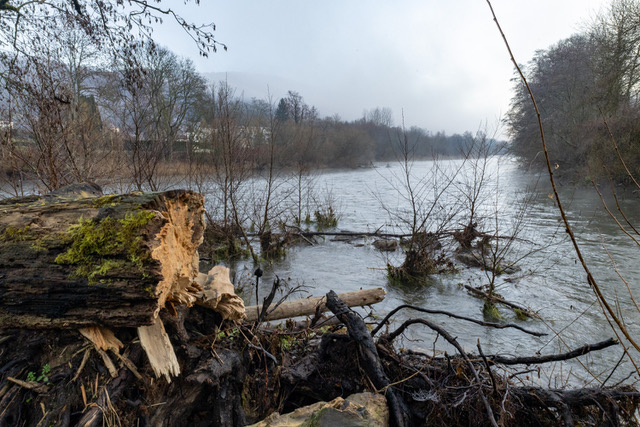 Fleuve (Meuse) bordés d'arbres en hiver ©M. Dimidschstein
