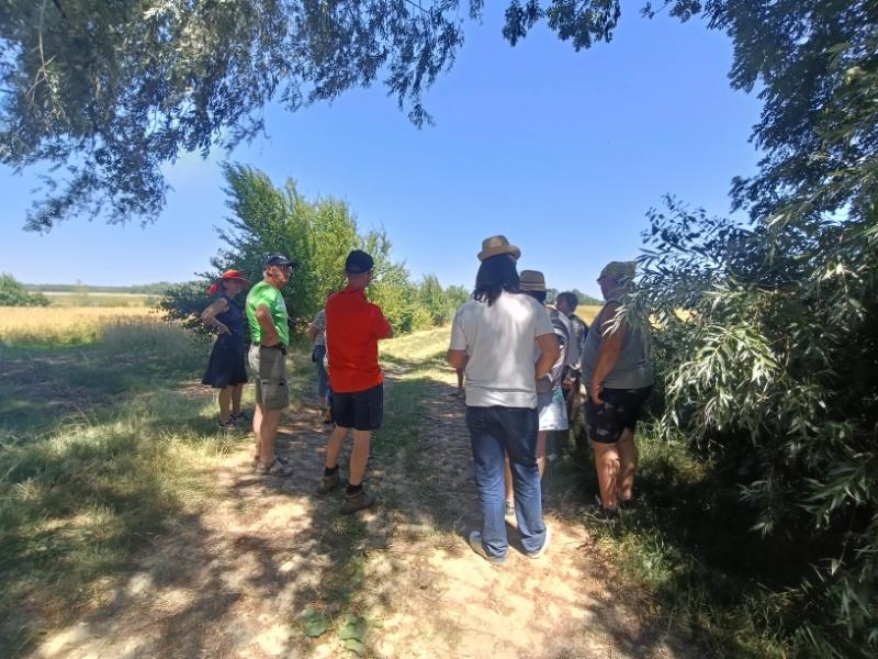 Groupe de personnes sur un chemin de campagne en été