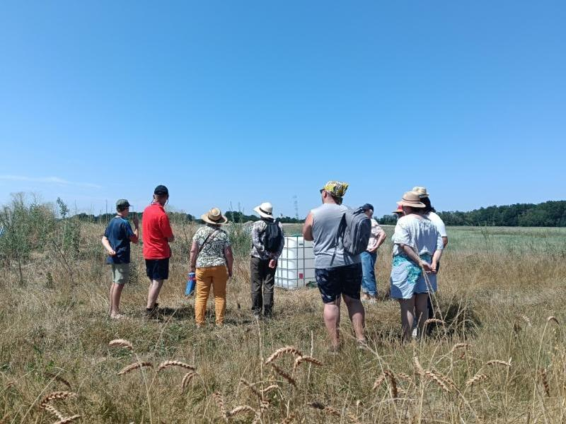 Balade nature estivale : groupe de personne près des champs