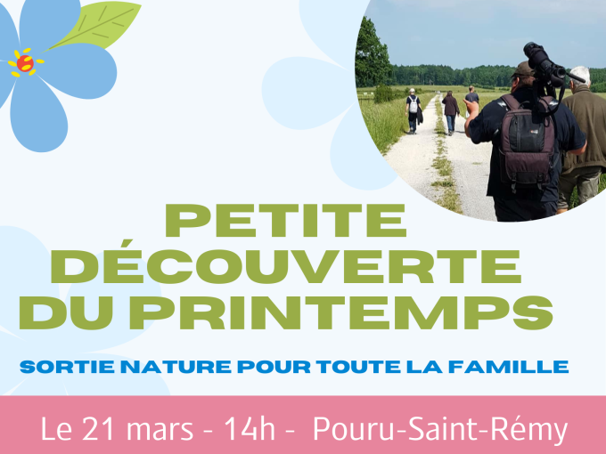 Affiche de la sortie avec les informations du post