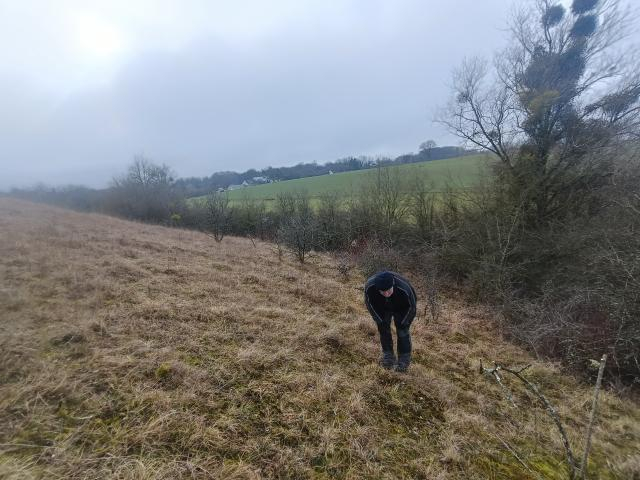 Chantier de restauration de pelouse sèche ©L. Puech