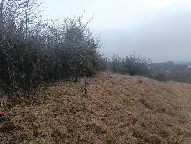 Chantier de restauration de pelouse sèche ©L. Puech