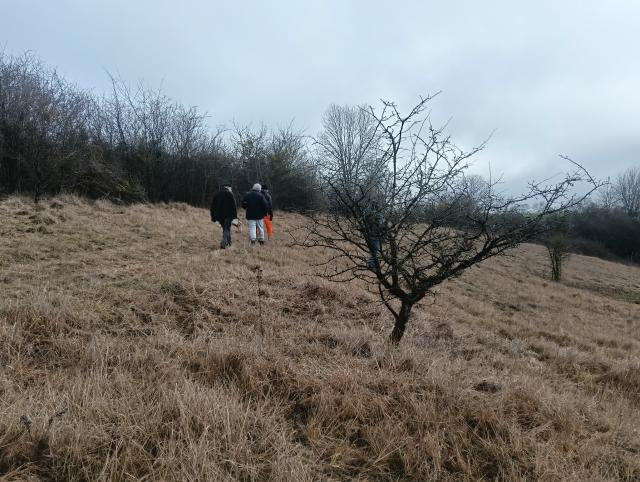Chantier de restauration de pelouse sèche ©L. Puech