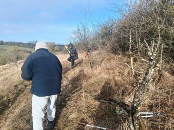 Chantier de restauration de pelouse sèche ©L. Puech