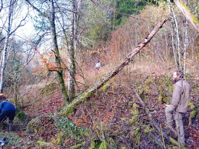 Photo de chantier nature ©V. Perrette