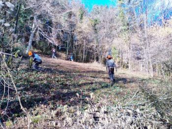Photo de chantier nature ©V. Perrette