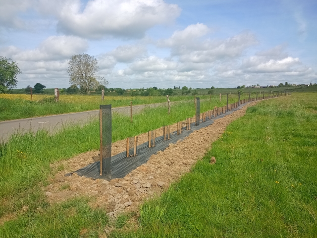 Plantation de haies ©L. Puech