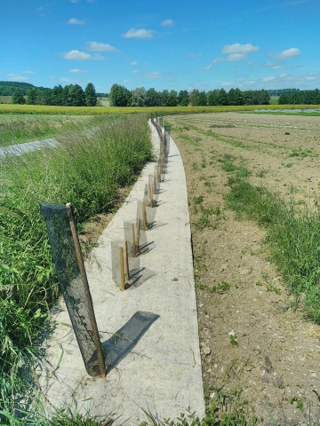 Plantation de haies ©L. Puech