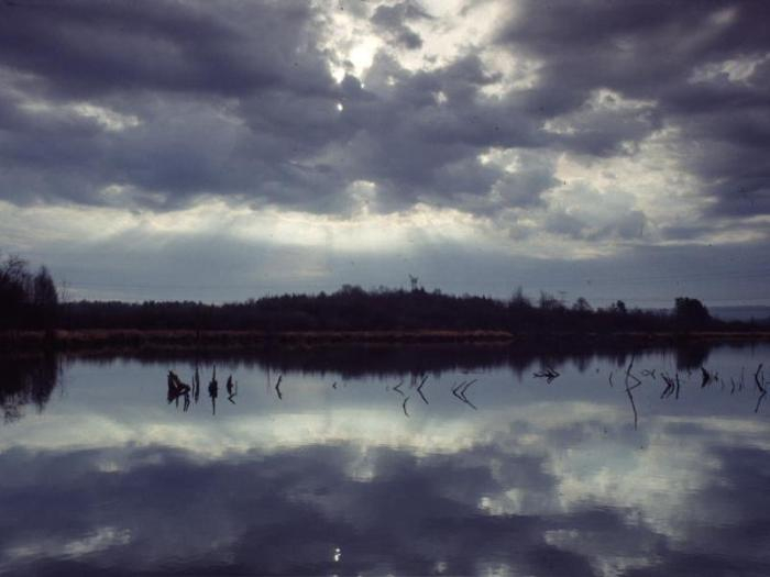 Paysage d'un lac (Vieilles Forges, 08) avec reflets des nuages dans l'eau ©P. Chagot