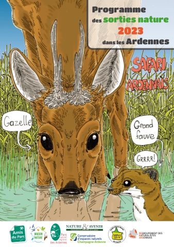 Prog 2023 : illustration d'un "safari ardennais" avec un faon désigné "gazelle" et une belette désignée "grand fauve" ©O. Cadhillon