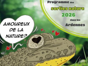 Couverture du programme des sorties avec dessin d'illustration de crapaud (Sonneur à ventre jaune) ©O. Cadilhon