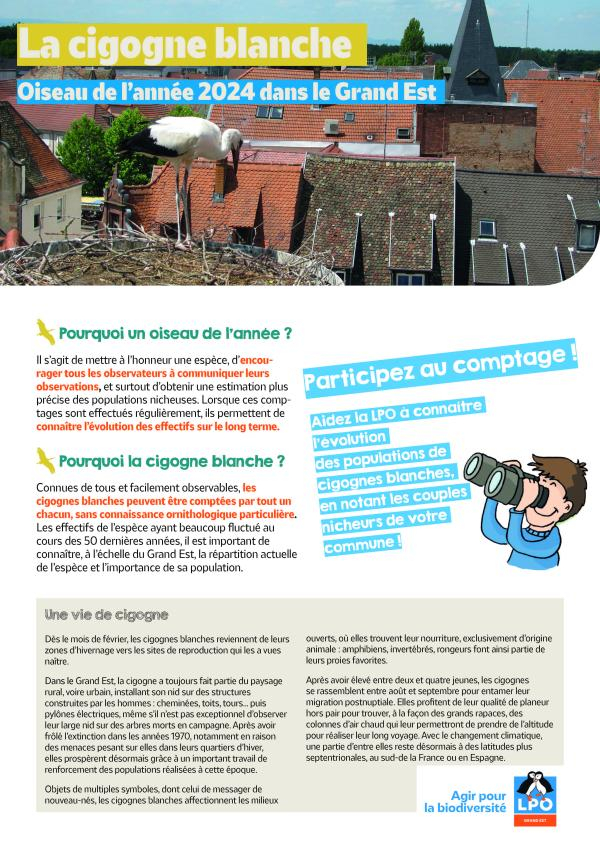 Flyer de l'oiseau de l'année 2024 - page 1