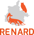 logo renard orange gris