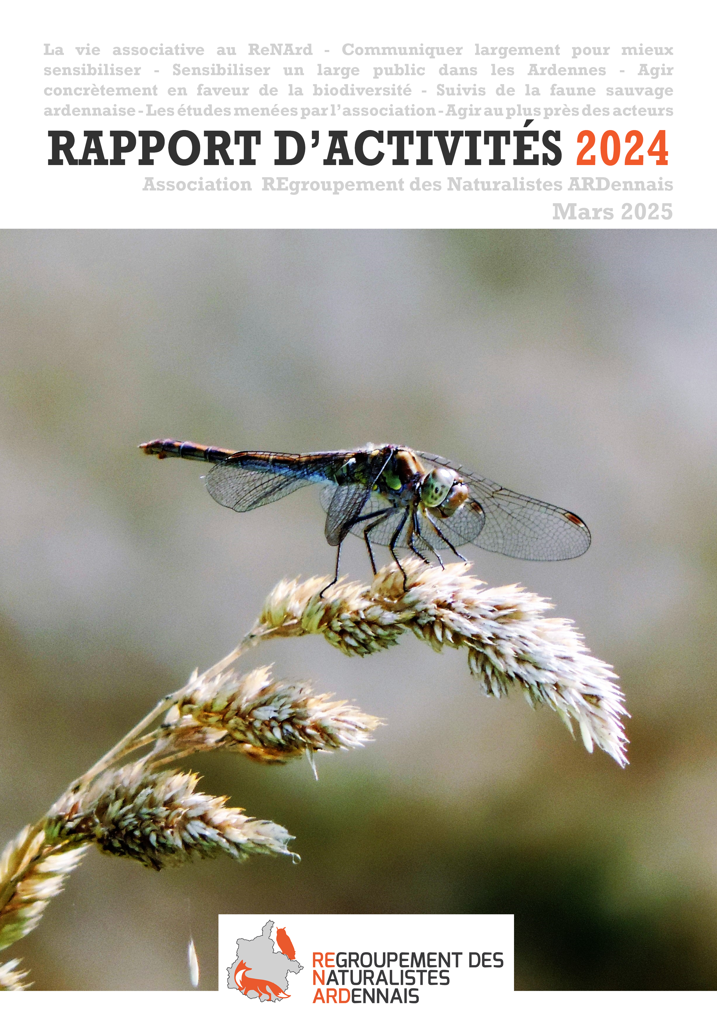Rapport activités 2024