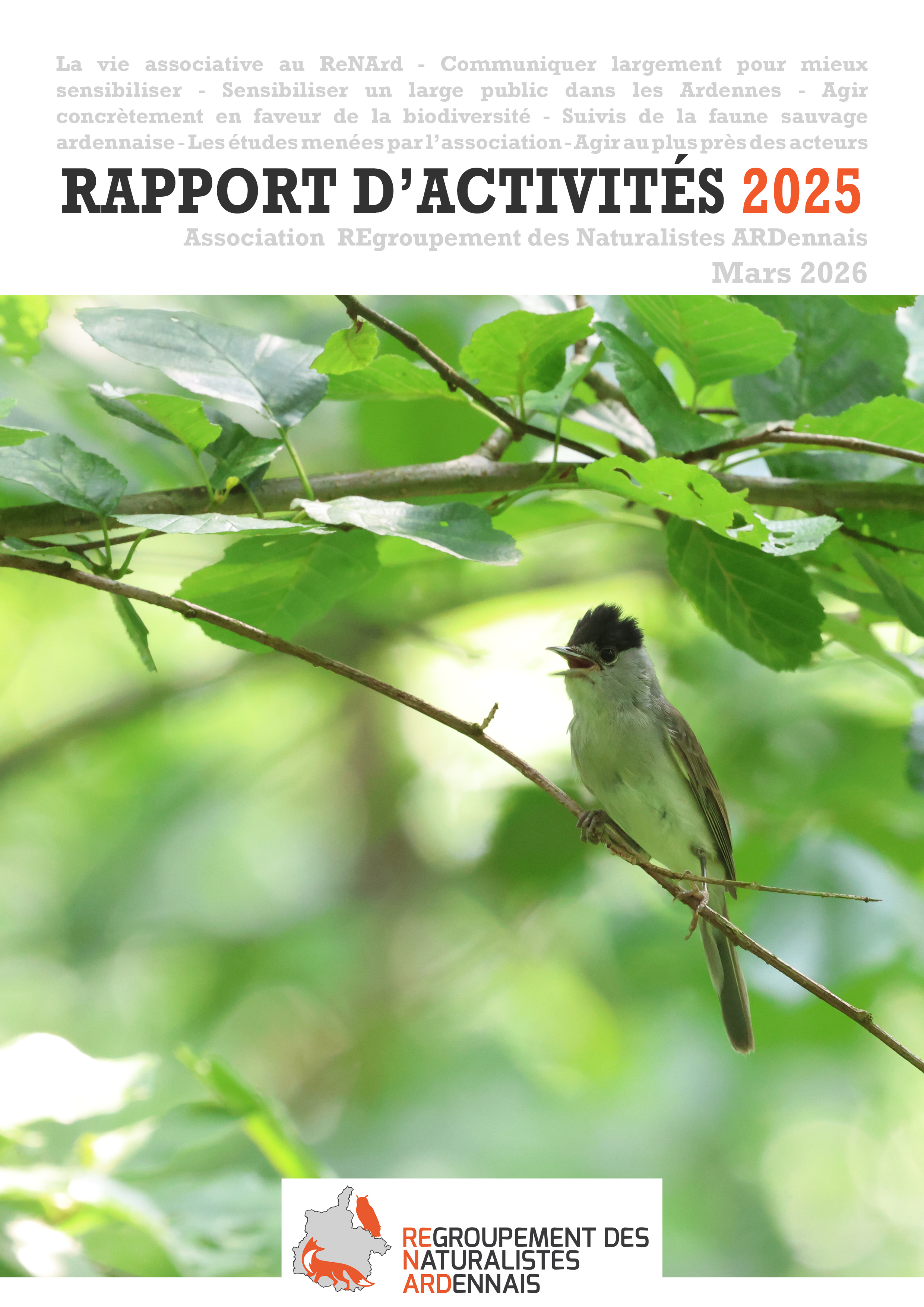 Rapport activités 2025