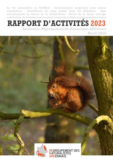 Rapport activités 2022